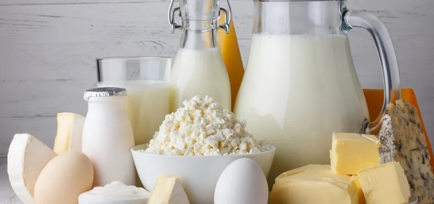 Dairy products and eggs on a table: milk jugs, cottage cheese, butter and cheese